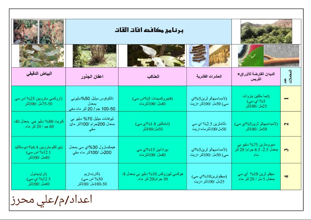 برنامج مكافحة افات القات